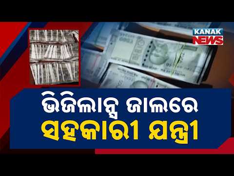 ଭିଜିଲାନ୍ସ ଜାଲରେ ଯନ୍ତ୍ରୀ Odisha Vigilance Raid | Engineer Anupama Sahu's House Raided for Cash & Gold