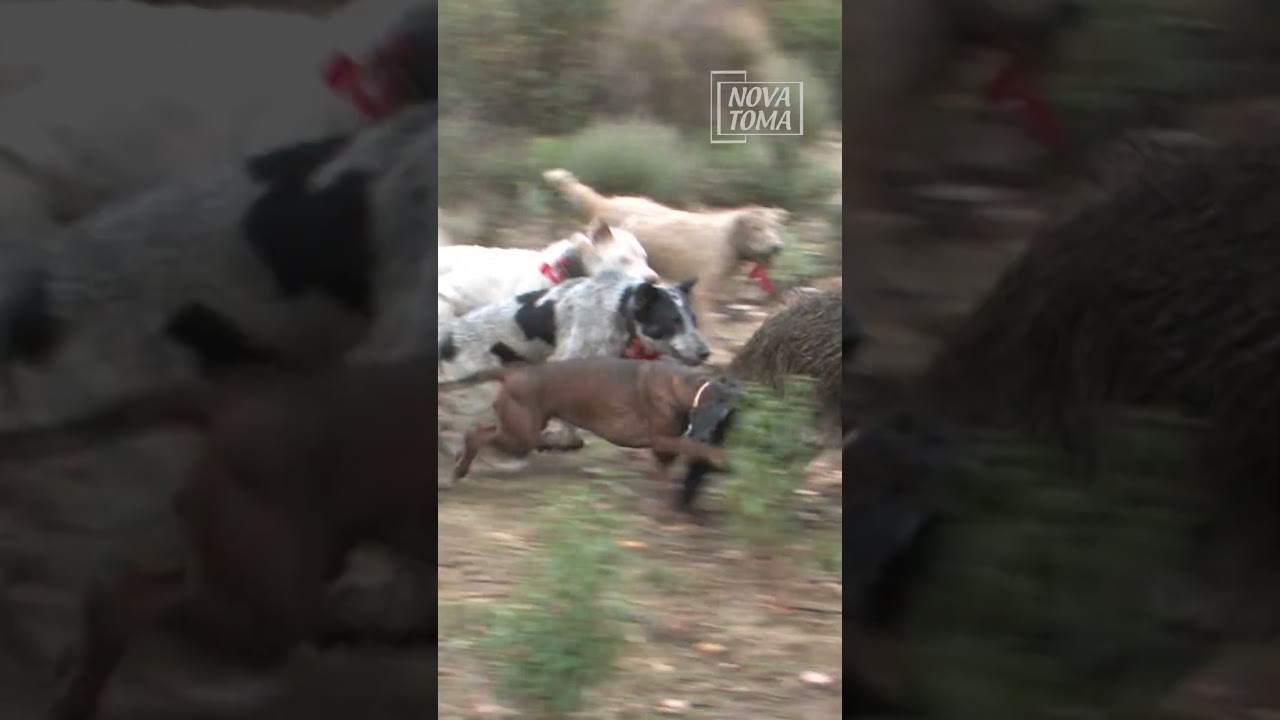🙌 Esto es casi un agarre en carrera.