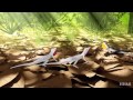Species Evolution Through Geographic Isolation and Competition
