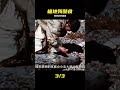 沒有一只海豹能活著走出北極,因紐特人聚在一起享受海豹燉肉。 #北极 #因纽特美食 #海豹 #极地生存 #野性 #民俗