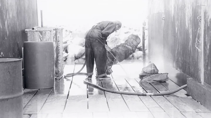 fisherman cleans fishing net