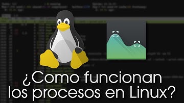 Procesos y señales en Linux / Unix-like explicados
