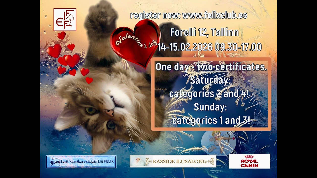 14.02.26 Best in show II, IV Categories Cat show www.felixclub.ee