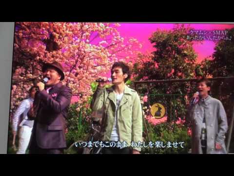 あったかいんだから〜 SMAPコラボ