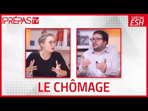 Vidéo: Quels Sont Les Types Et Les Formes De Chômage