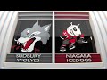 Game 67 highlights sudbury wolves at niagara icedogs