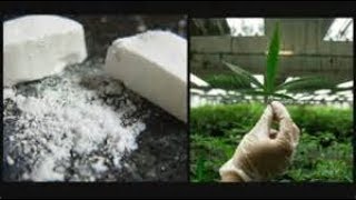 Fentanyl In Marijuana (Very Important Warning) (Read Description)