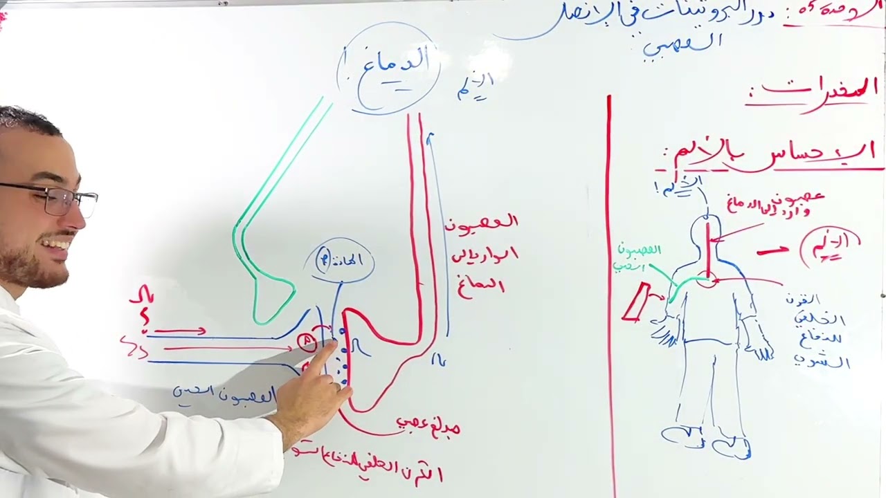 الأعصاب 4/4 : المخدرات (مستحيل ماتفهمش‼️)