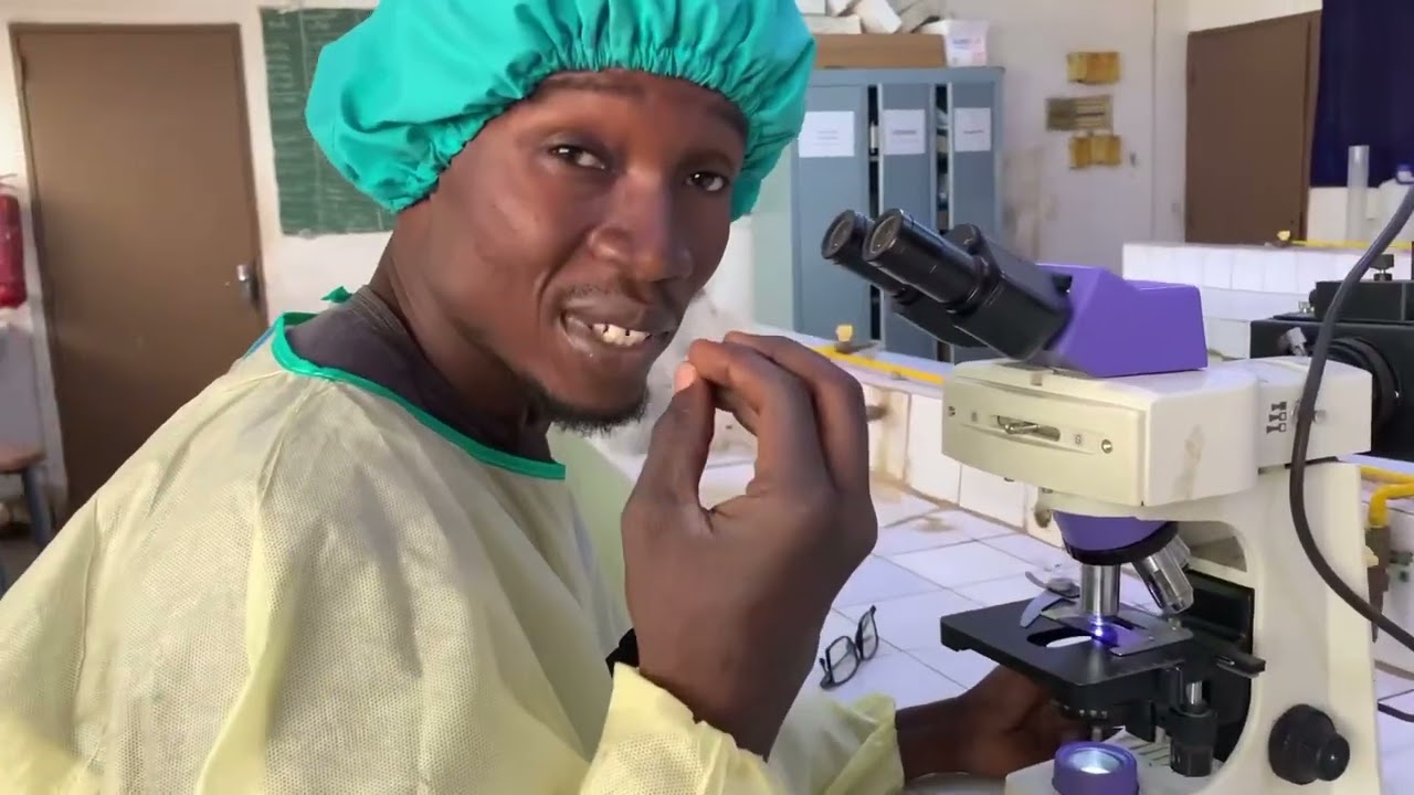 Les microfilaires lymphatiques au microscope détaillé