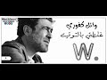 غلطتي بالتوقيت وائل كفوري