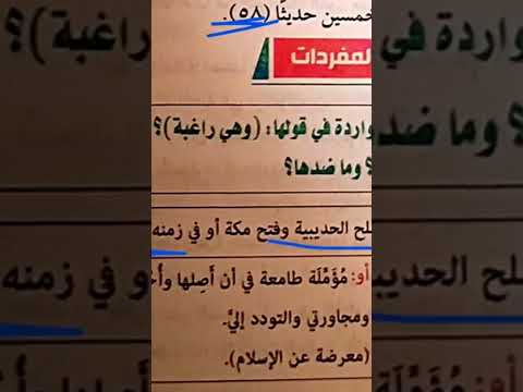 قدمت أم أسماء بنت أبي بكر الصديق على ابنتها وهي راغبة فما معنى راغبة