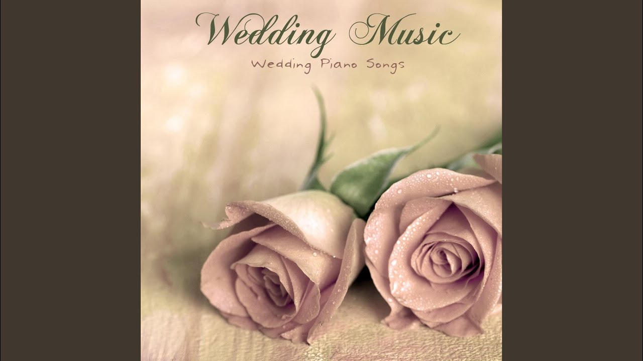 Beach Weddings (Instrumental Music)