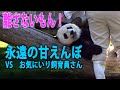 「飼育員さんへの愛が強すぎて、全力で通せんぼするパンダ」広いお庭が最も輝いた光景 みんなで笑って涙した「絆」