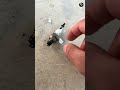 This Tiny Spark Plug Piece Can Shatter Car Glass 😳 #facts #shorts