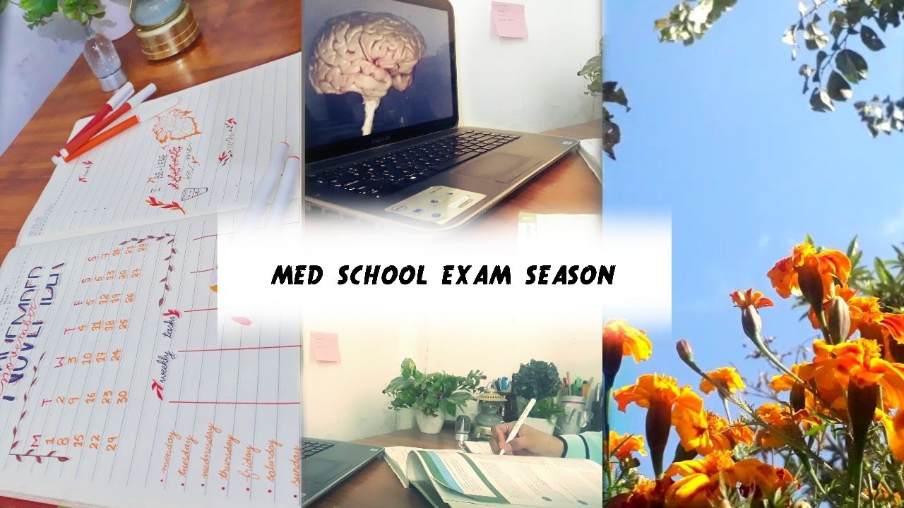 study vlog | cozy monthly journal | med school exam season