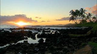 Discover Hawaii with Perillo Tours