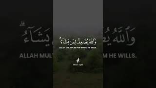 Surah Al Baqarah | Idris Abkar screenshot 3