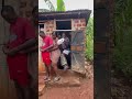 Mission impossible 😂😂😂😂🙈 #foryou #viral #comedy