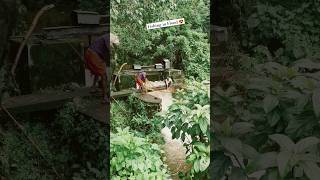 Fishing In Flood  Kerala Flood Scenes flood floodinkerala kerala keralanews fishing