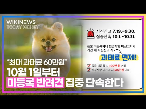 &amp;quot;최대 과태료 60만원&amp;quot; 10월 1일부터 미등록 반려견 집중 단속한다