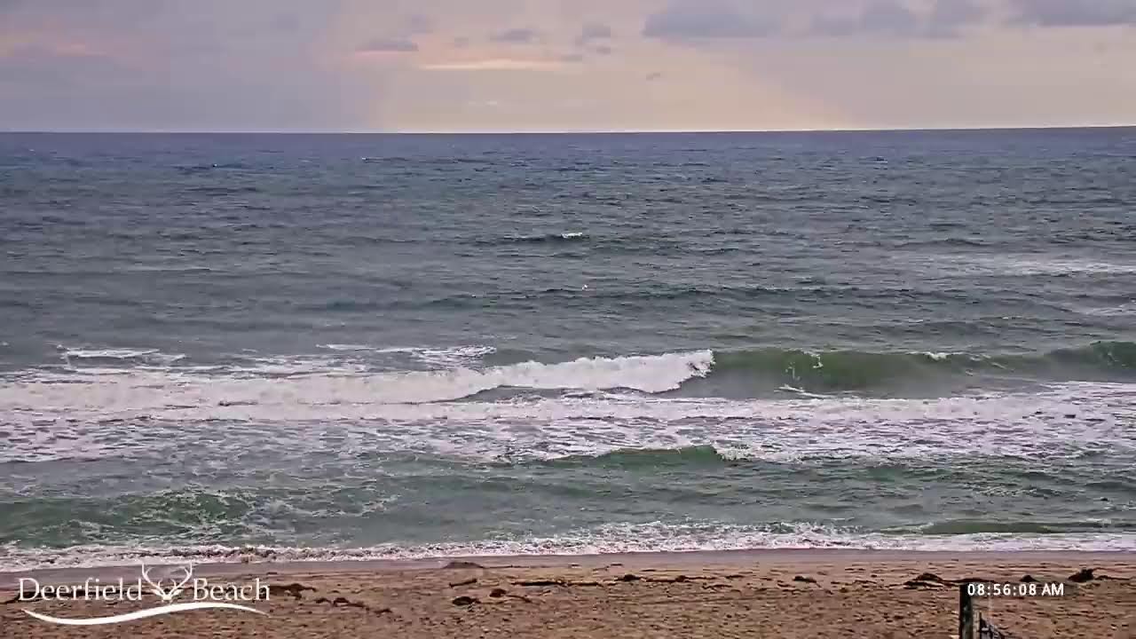 Livestream Cameras Deerfield Beach, FL