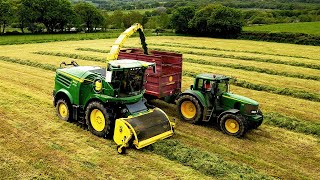 CHOPPING FIRST CUT SILAGE!