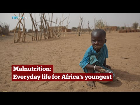 Video: Waar zijn er gebieden met ondervoeding in de wereld?