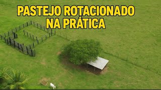 Como Funciona O Pastejo Rotacionado How Does Rotational Grazing Work?