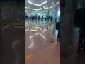Guess Where I Am?#dailyvlog #travel #travelvlog #traveling #dubaiairport #like #explorefeed #vlog