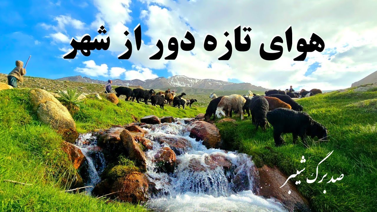 معرفی صدبرگ ولسوالی شیبر، یکی از زیباترین مناظر طبیعی در  ولایت بامیان- افغانستان