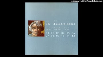 B12 ‎- Mondrin (1993) [WARPCD9]