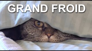 7 CONSEILS POUR SURVIVRE AU GRAND FROID (quand on est un chat)