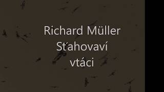 Richard Muller - Stahovavi vtaci