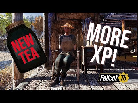 Best XP Buff Black-Eyed Susan's Soothin Tea Explained