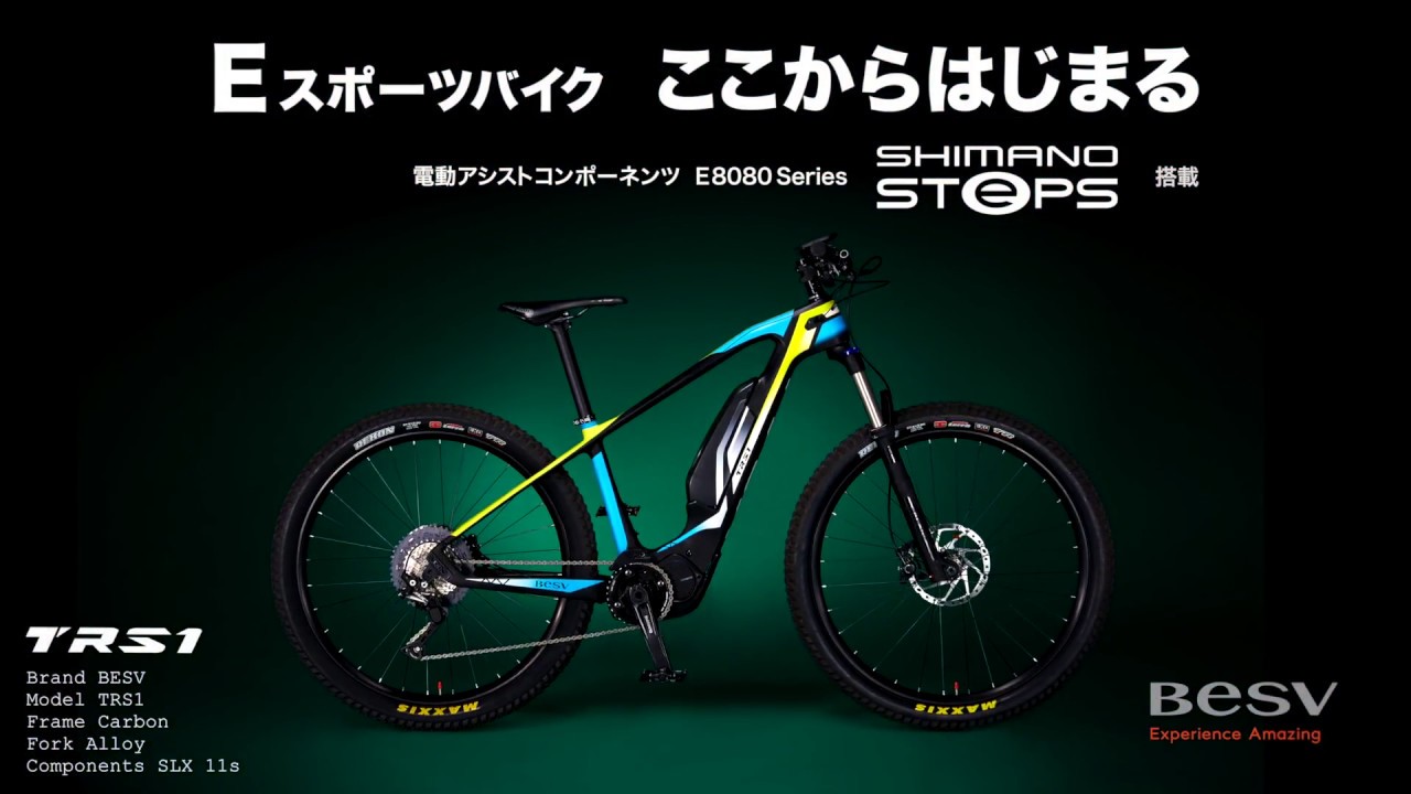 TRS1 | BESV JAPAN（ベスビー ジャパン） | 電動アシスト自転車