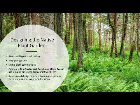 Vídeo: Pacific Northwest Perennial Flowers: Perenes for Northwestern Gardens