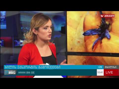 ხილის ექსპორტის გამოწვევები