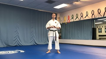 Karate (Purple Black, 3rd Kyu, 2nd Kyu Brown Belts): Kihon (Module 3)
