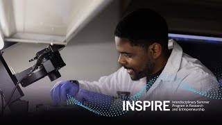 2025 INSPIRE Scholars Program