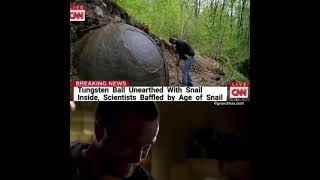 immortal snail on CNN