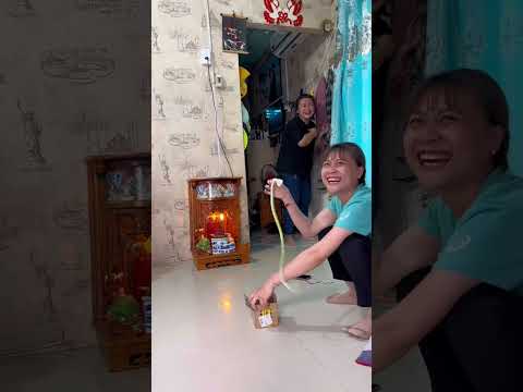 Video #shorts Thánh Lệu Là Đây Chứ Đâu - youtube