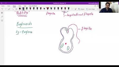 zoom class 6 bridge course pu1