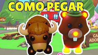 NOVO ACAMPAMENTO DE VERÃO ADOPT ME COMO PEGAR 2 PETS NOVOS CASTOR E BISÃO GRÁTIS  adopt me roblox