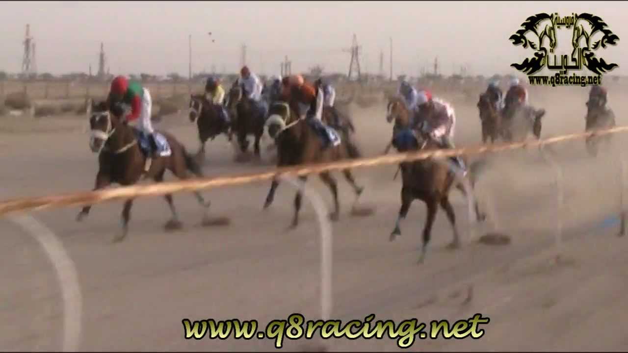 بطل كأس الأميرالجواد مقاطع