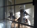Bird feeder on window Bird feeder on window