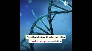 Artificial intelligence discovers patterns in Earth’s mass extinctions