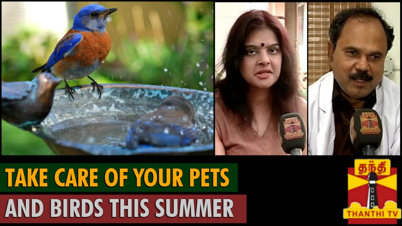 Watch How to Take Care Of Your Summer Skin video Watch How to Take Care Of Your Summer Skin video
