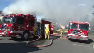 Riverside County Cal Fire Saves a dog from a burning home in the city of Temecula
