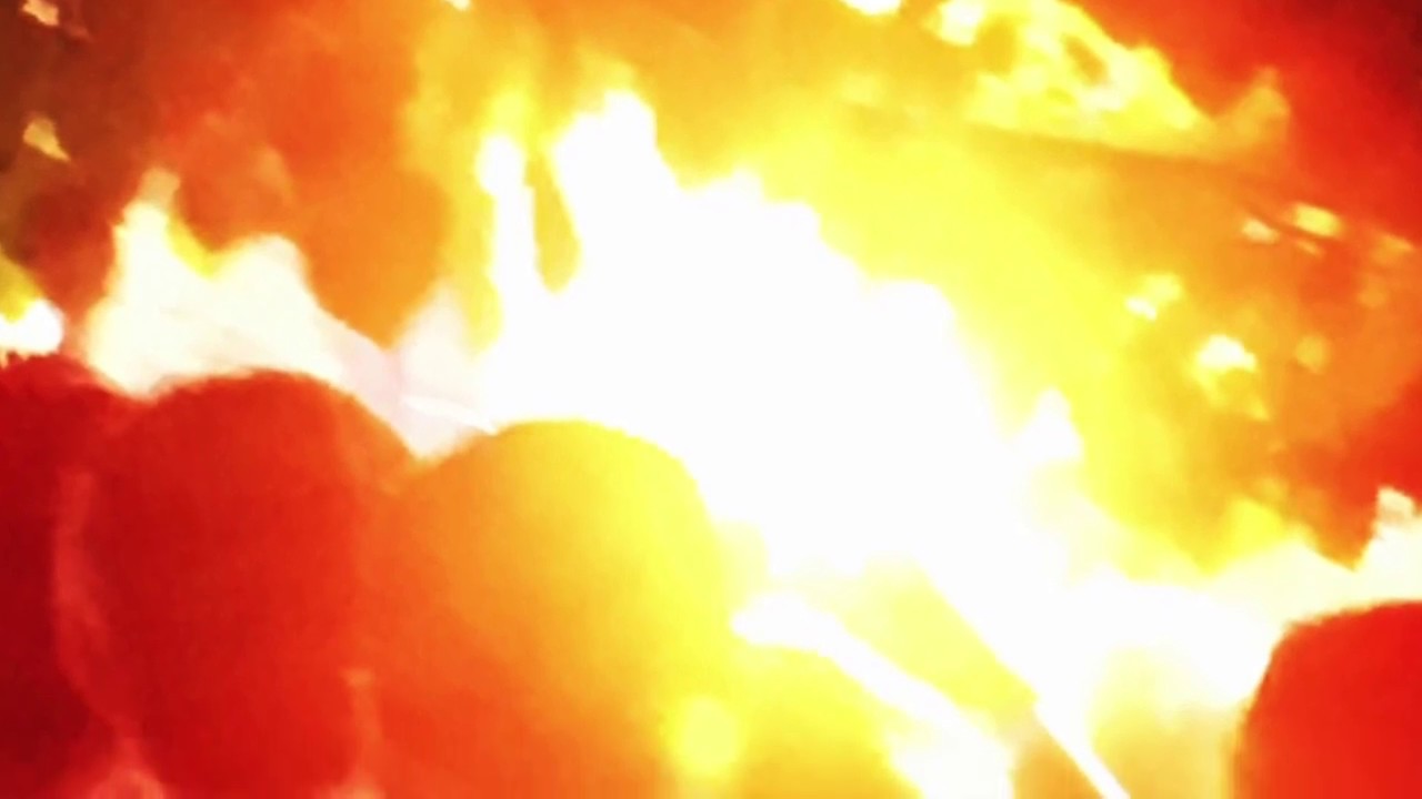 House of the Rising Sun | Lynn Bechtold