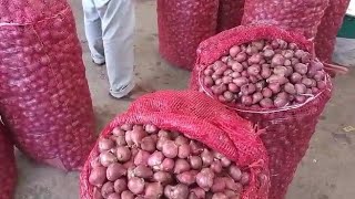 Download Lagu Info harga bawang merah dan sayur dari pasar sayur alahan panjang, kab.solok MP3